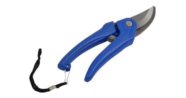 7 Best Plant Cutter Scissors in India 2023