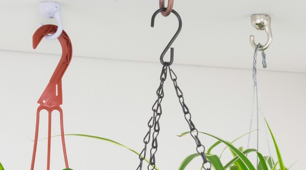 7 Best Hooks for Hanging Plants in India 2023
